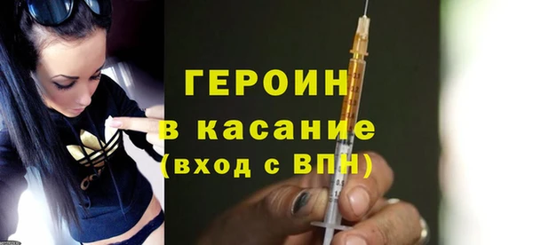 дживик Ельня