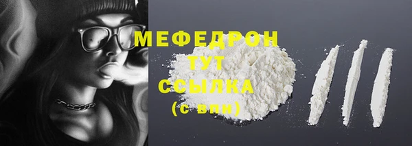 дживик Ельня