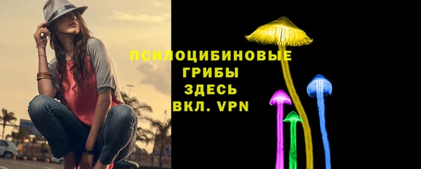 дурь Ханты-Мансийск