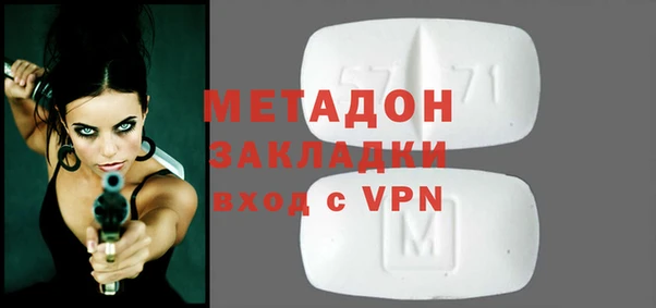 дживик Ельня