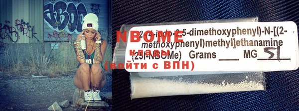 дживик Ельня