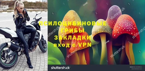 дживик Ельня