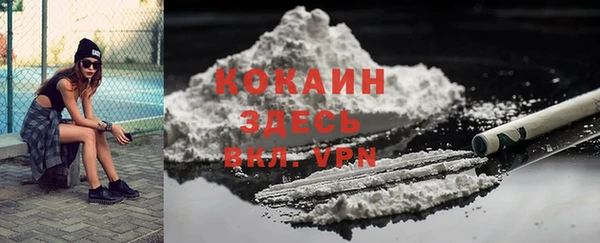 дживик Ельня