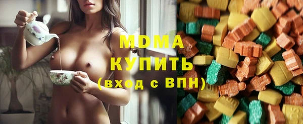 дживик Ельня